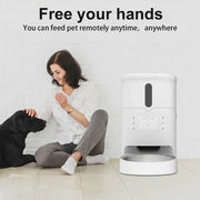 Smart 3L pet feeder with Wi-Fi shown beside a woman and dog, ideal for remote feeding of cats and dogs anytime, anywhere.